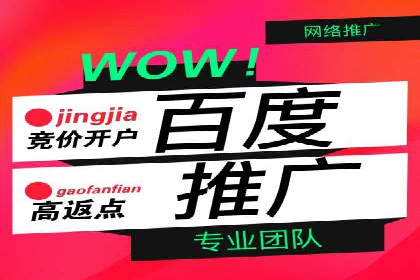 低成本高回报：百度竞价代理成功案例分析